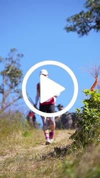 BIB:  <button type="button" onclick="openModal(26598480)" class="btn btn-primary btn-sm float-right" data-toggle="modal" data-target=".modal-high-quality">
                <i class="fa fa-download"></i> Download
                </button>